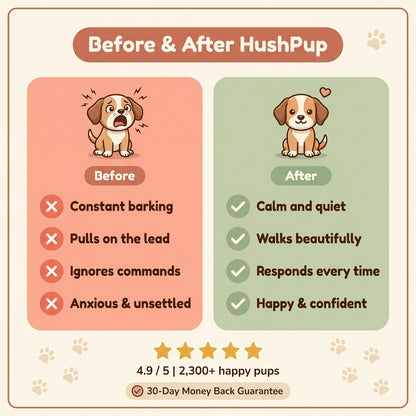 The HushPup - Puppy Training Tool